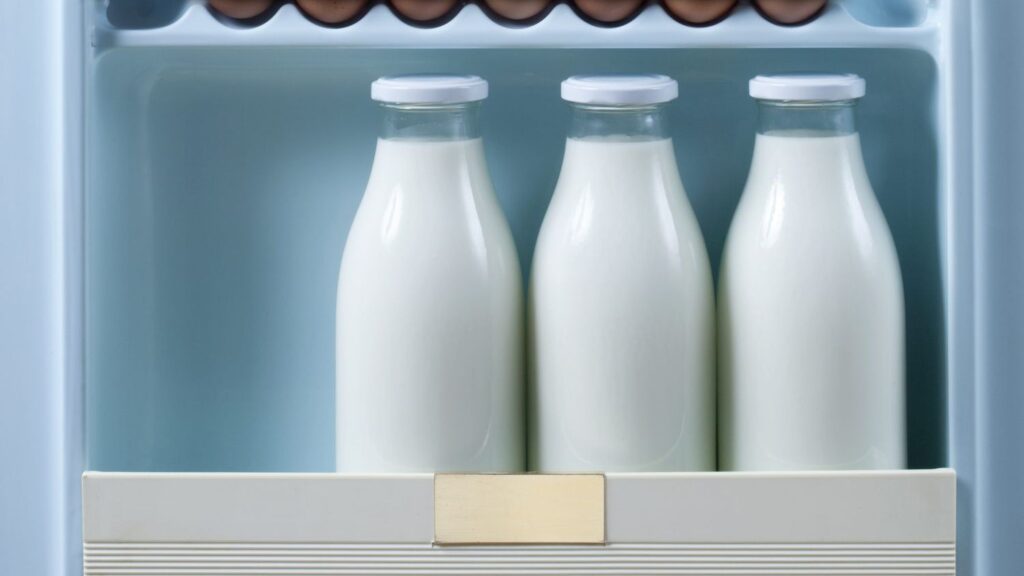 How to Store Buffalo Milk?