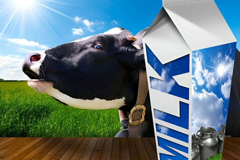 What Makes WellHealthOrganic Buffalo Milk Stand Out?